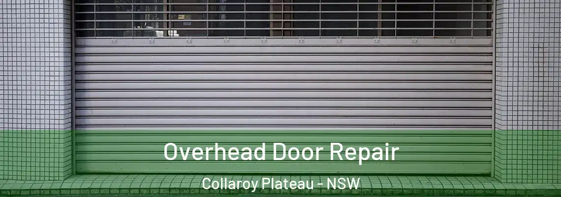 Overhead Door Repair Collaroy Plateau - NSW