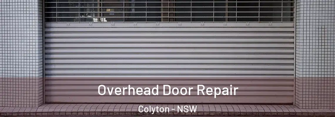 Overhead Door Repair Colyton - NSW