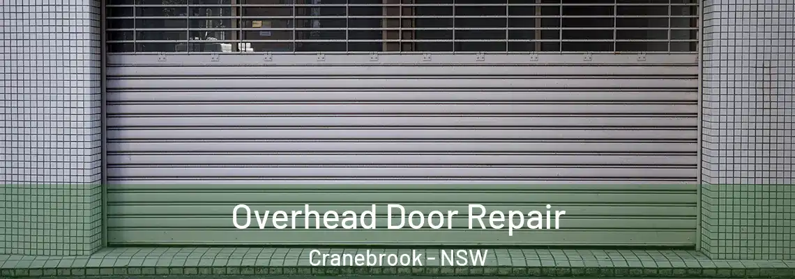 Overhead Door Repair Cranebrook - NSW