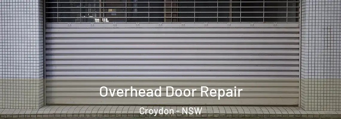 Overhead Door Repair Croydon - NSW