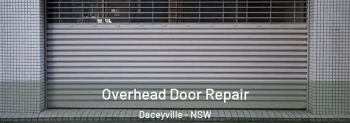 Overhead Door Repair Daceyville - NSW