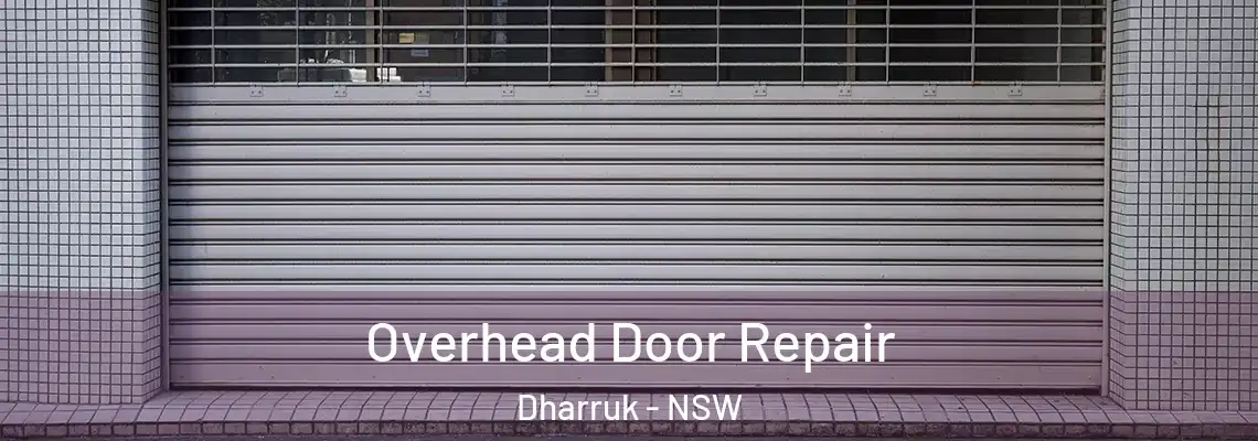  Overhead Door Repair Dharruk - NSW