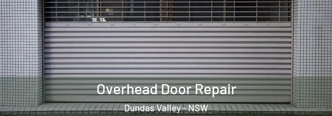 Overhead Door Repair Dundas Valley - NSW