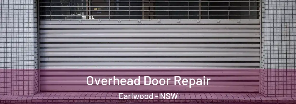  Overhead Door Repair Earlwood - NSW