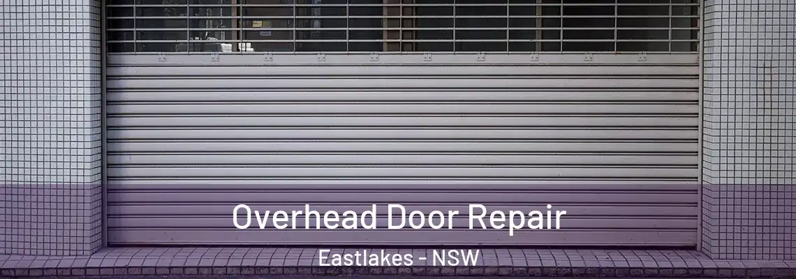 Overhead Door Repair Eastlakes - NSW
