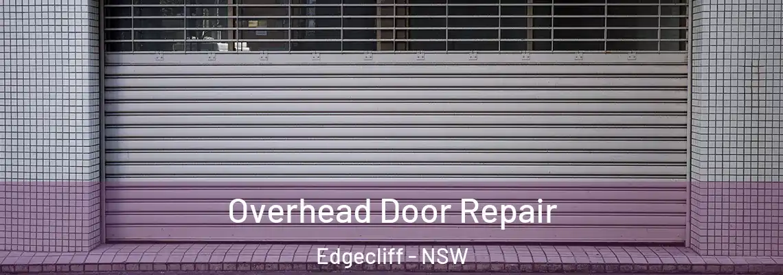 Overhead Door Repair Edgecliff - NSW