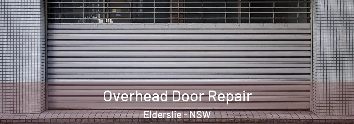 Overhead Door Repair Elderslie - NSW