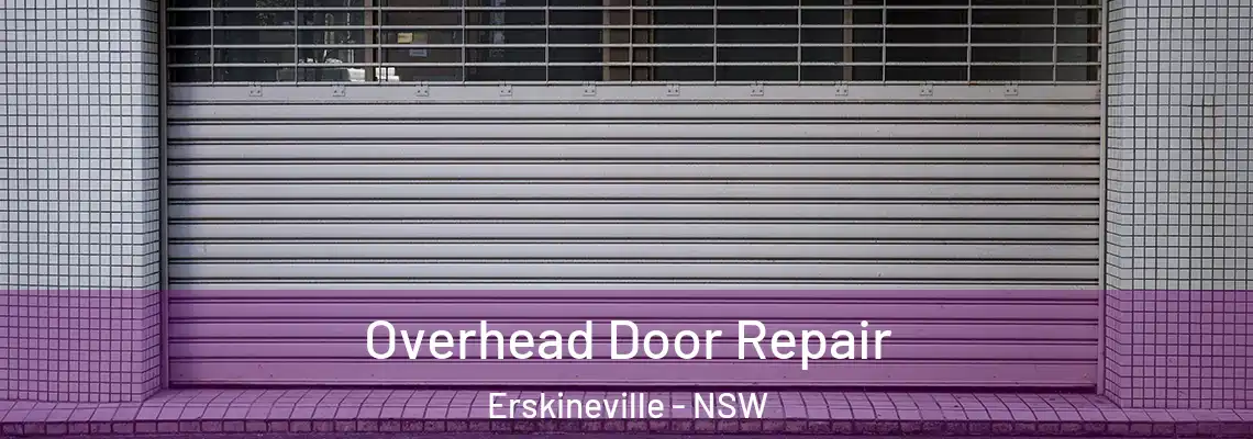 Overhead Door Repair Erskineville - NSW