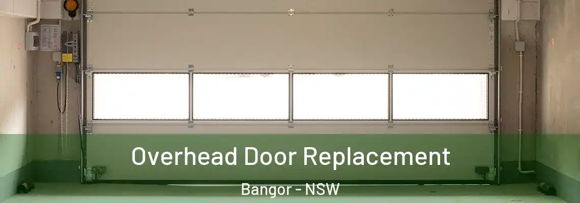 Overhead Door Replacement Bangor - NSW
