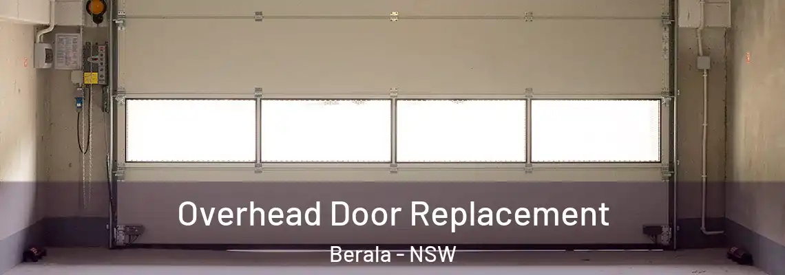 Overhead Door Replacement Berala - NSW