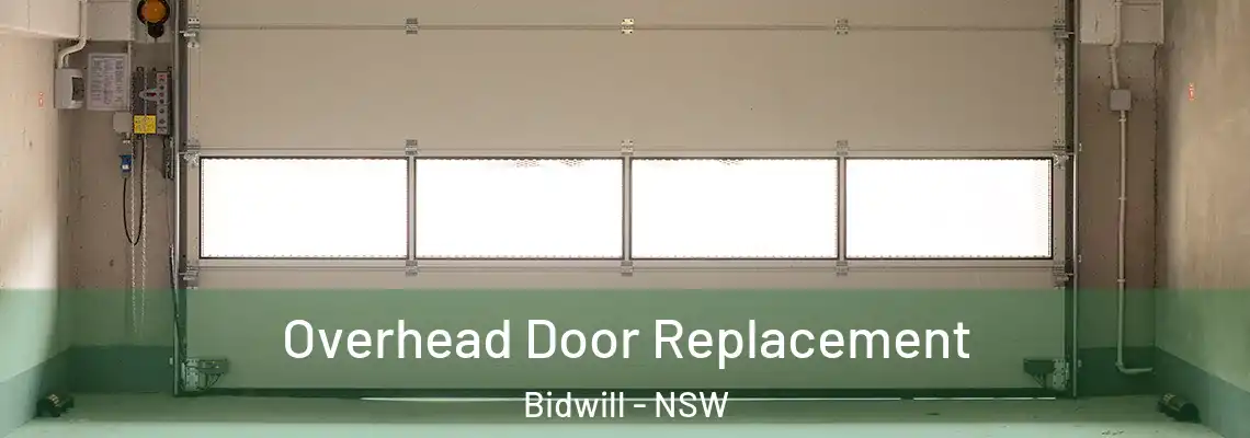 Overhead Door Replacement Bidwill - NSW