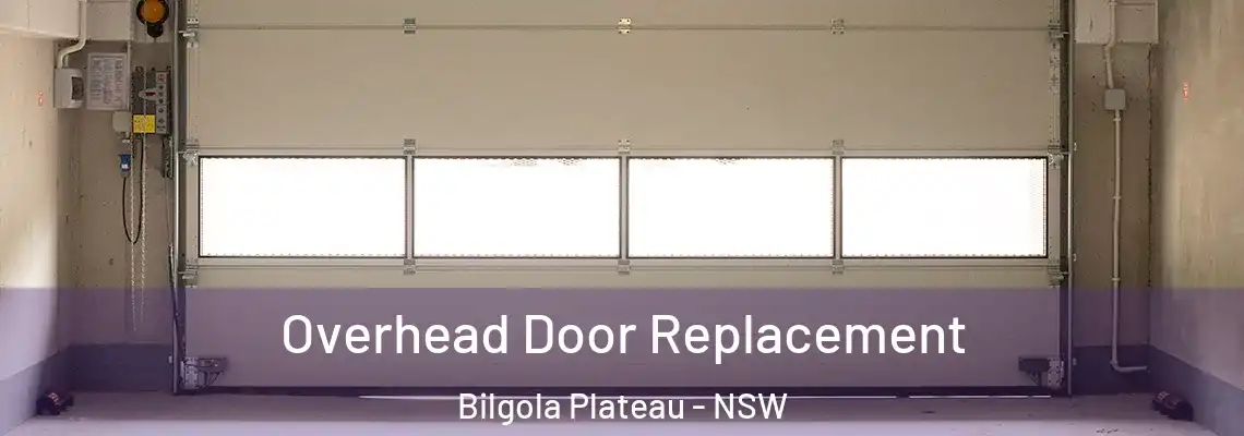Overhead Door Replacement Bilgola Plateau - NSW