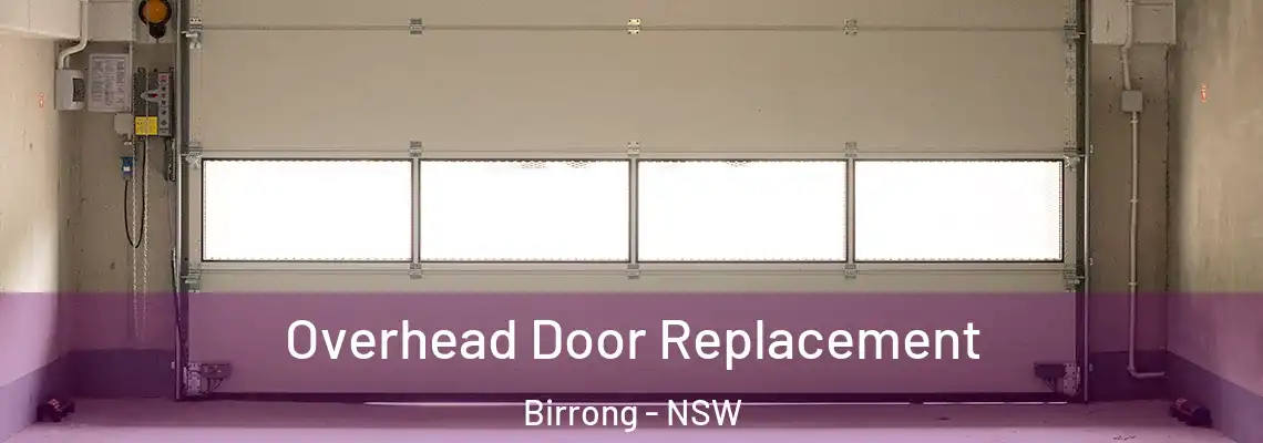 Overhead Door Replacement Birrong - NSW