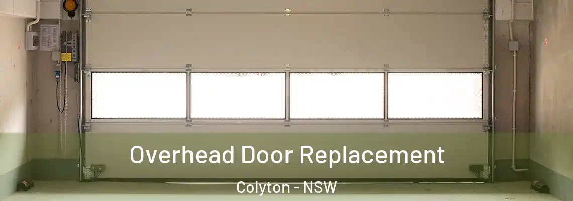 Overhead Door Replacement Colyton - NSW
