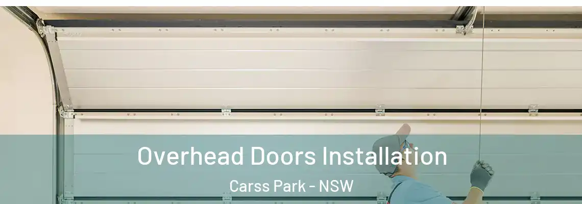 Overhead Doors Installation Carss Park - NSW