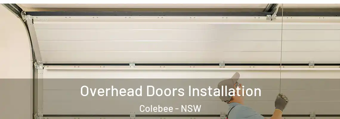 Overhead Doors Installation Colebee - NSW