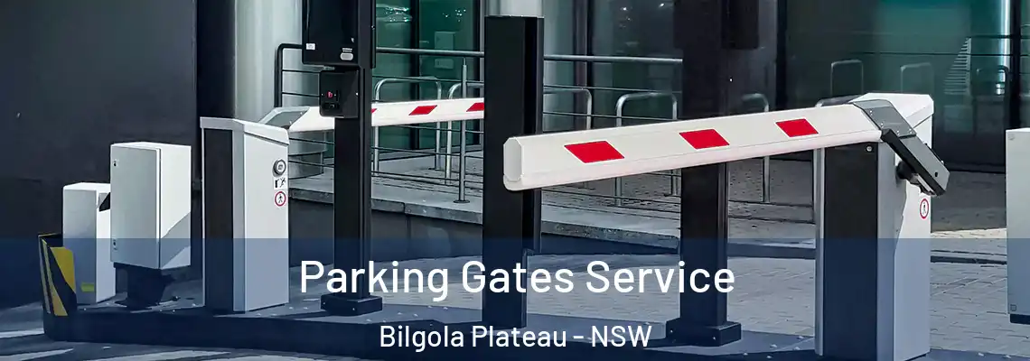 Parking Gates Service Bilgola Plateau - NSW