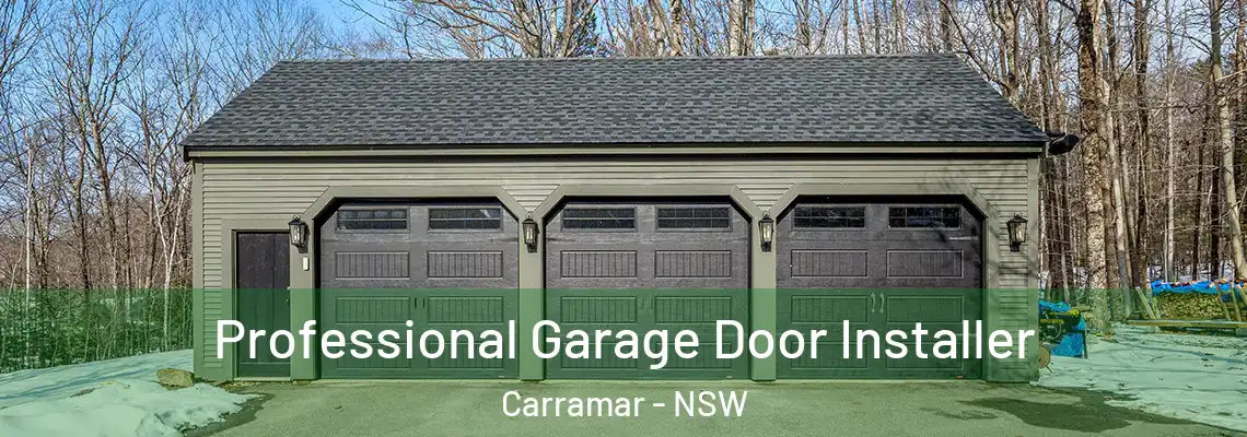 Professional Garage Door Installer Carramar - NSW