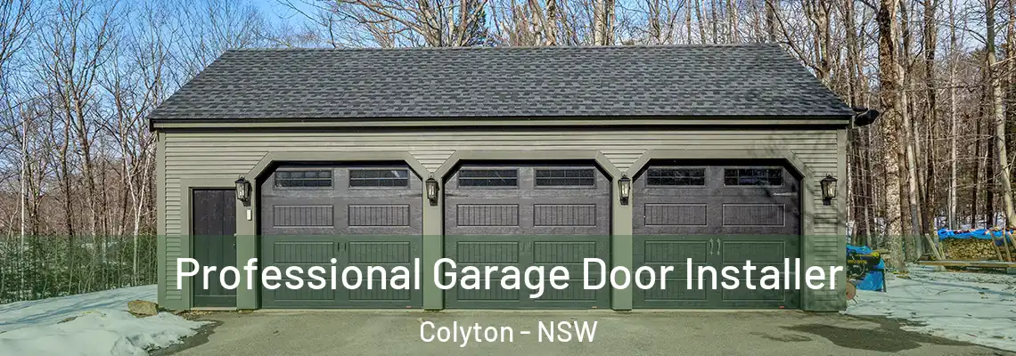  Professional Garage Door Installer Colyton - NSW