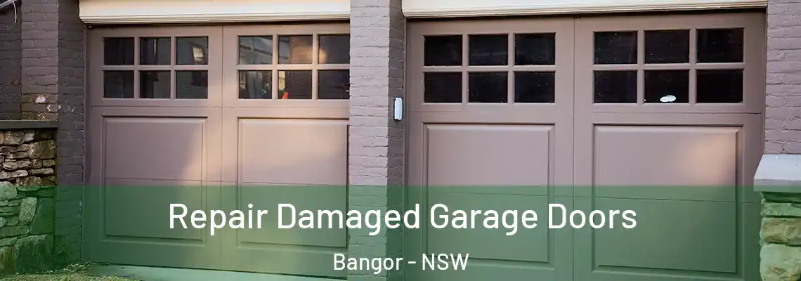 Repair Damaged Garage Doors Bangor - NSW