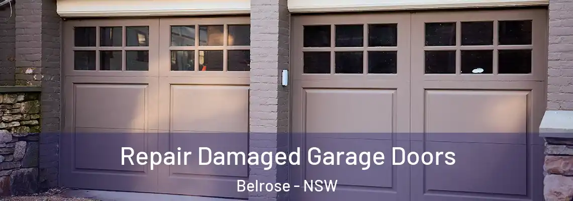 Repair Damaged Garage Doors Belrose - NSW