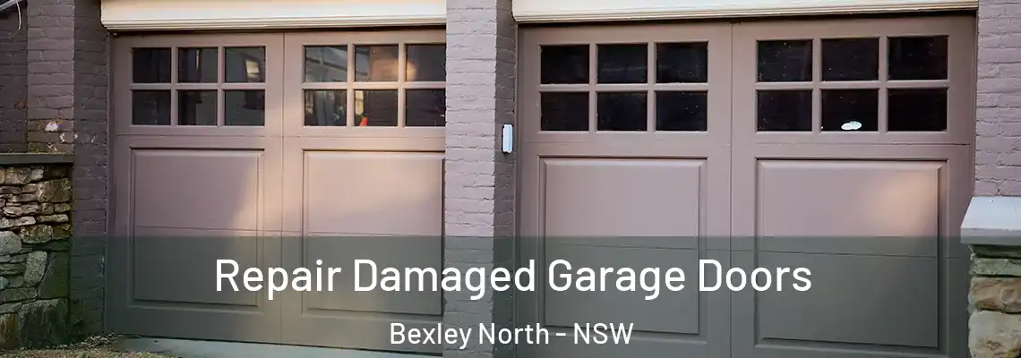  Repair Damaged Garage Doors Bexley North - NSW