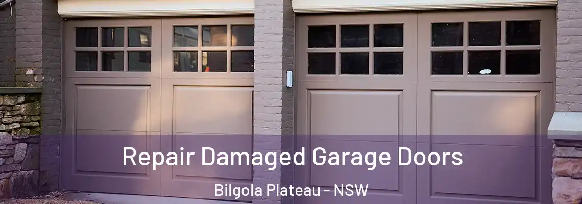 Repair Damaged Garage Doors Bilgola Plateau - NSW