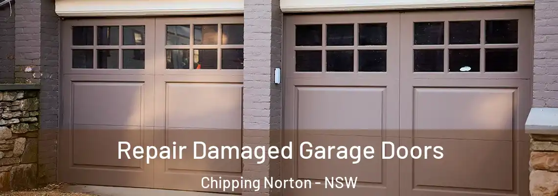 Repair Damaged Garage Doors Chipping Norton - NSW