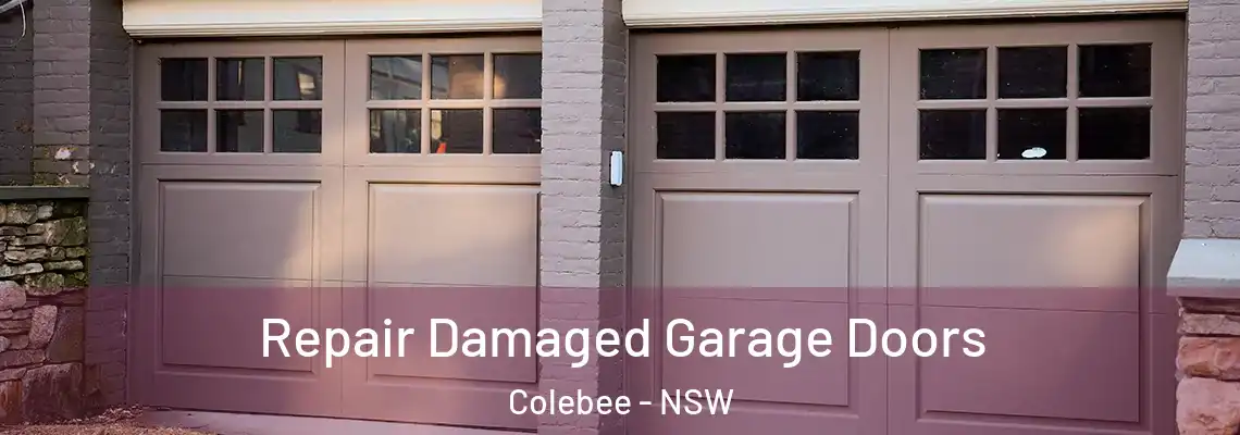 Repair Damaged Garage Doors Colebee - NSW