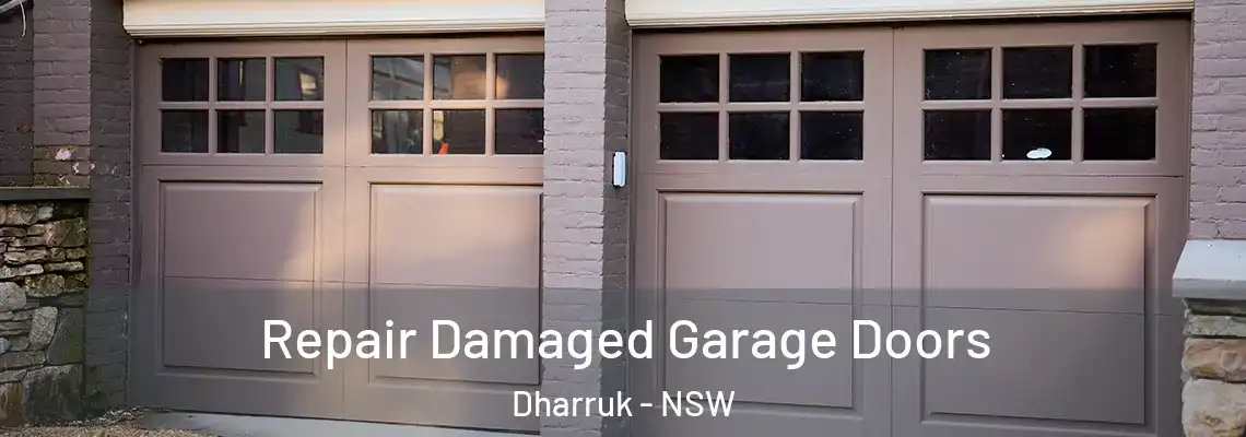 Repair Damaged Garage Doors Dharruk - NSW
