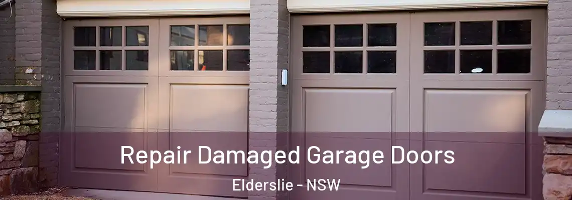 Repair Damaged Garage Doors Elderslie - NSW