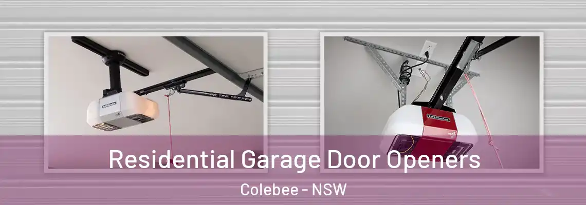 Residential Garage Door Openers Colebee - NSW