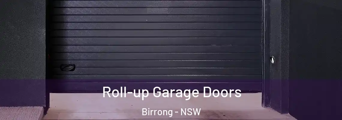 Roll-up Garage Doors Birrong - NSW