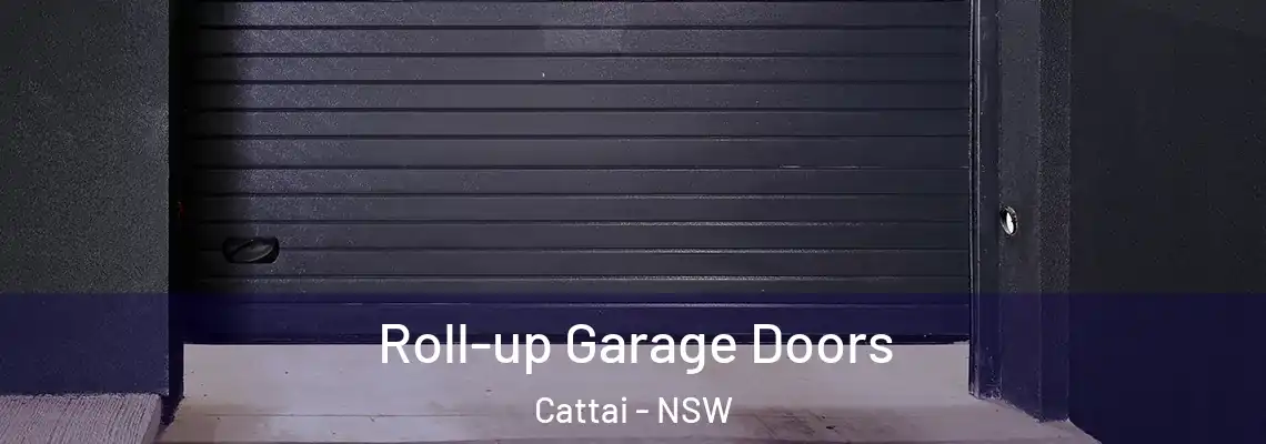 Roll-up Garage Doors Cattai - NSW