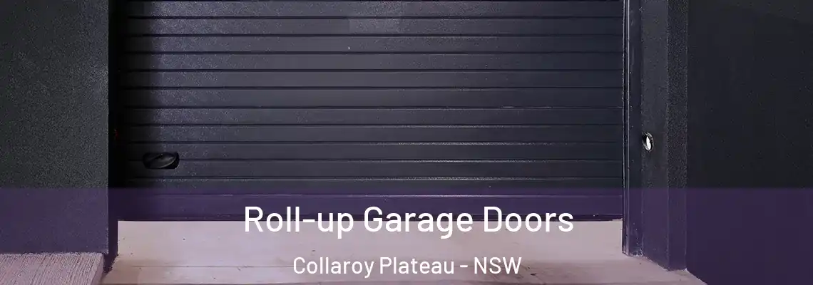 Roll-up Garage Doors Collaroy Plateau - NSW