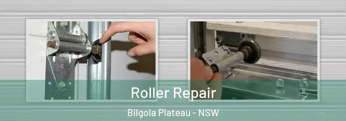 Roller Repair Bilgola Plateau - NSW