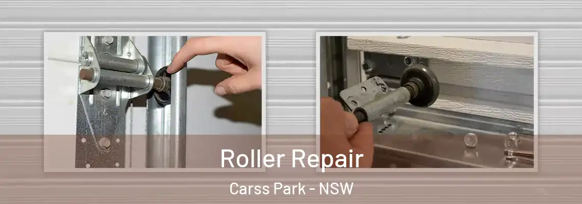 Roller Repair Carss Park - NSW
