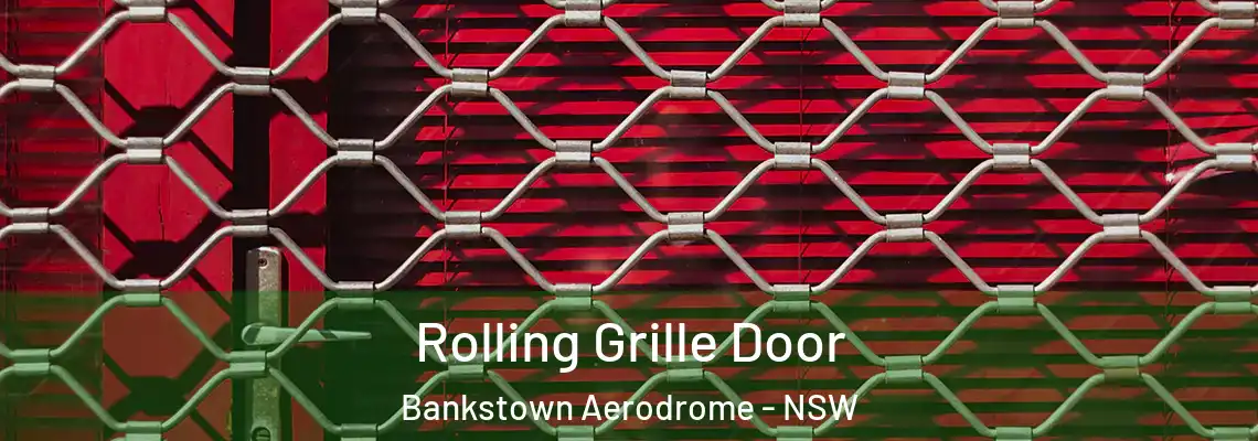Rolling Grille Door Bankstown Aerodrome - NSW