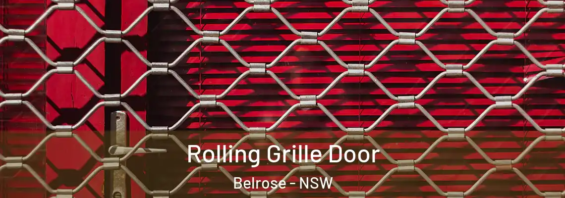 Rolling Grille Door Belrose - NSW