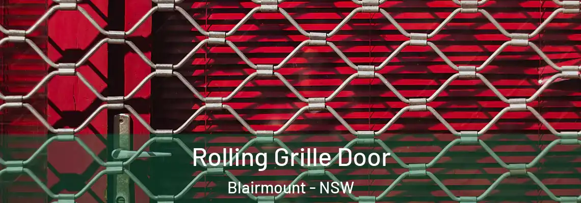 Rolling Grille Door Blairmount - NSW