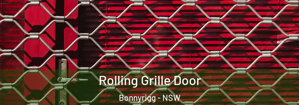 Rolling Grille Door Bonnyrigg - NSW