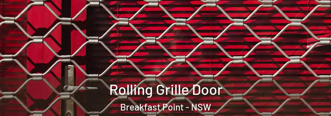 Rolling Grille Door Breakfast Point - NSW