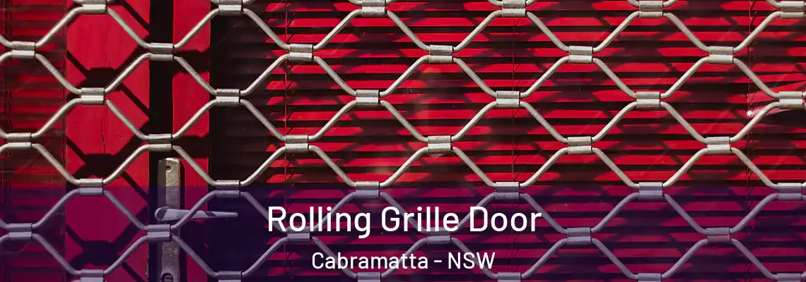 Rolling Grille Door Cabramatta - NSW