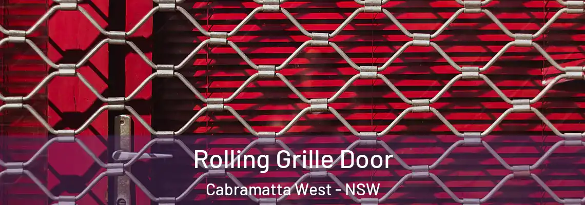 Rolling Grille Door Cabramatta West - NSW