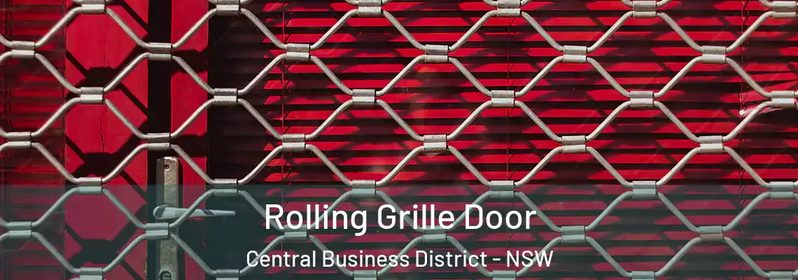 Rolling Grille Door Central Business District - NSW