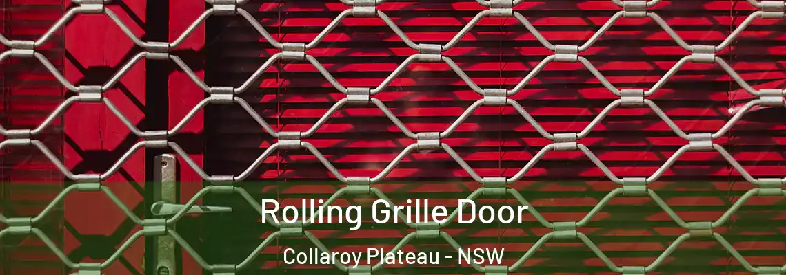 Rolling Grille Door Collaroy Plateau - NSW