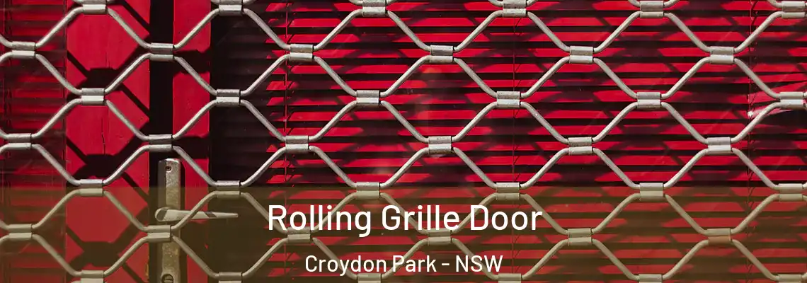 Rolling Grille Door Croydon Park - NSW