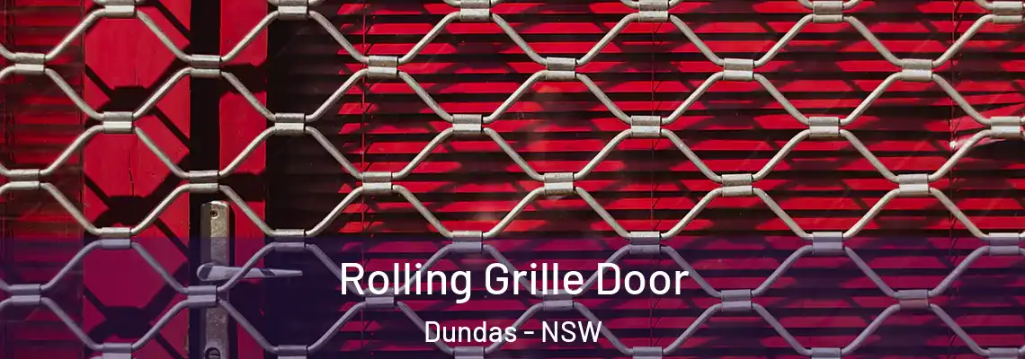 Rolling Grille Door Dundas - NSW