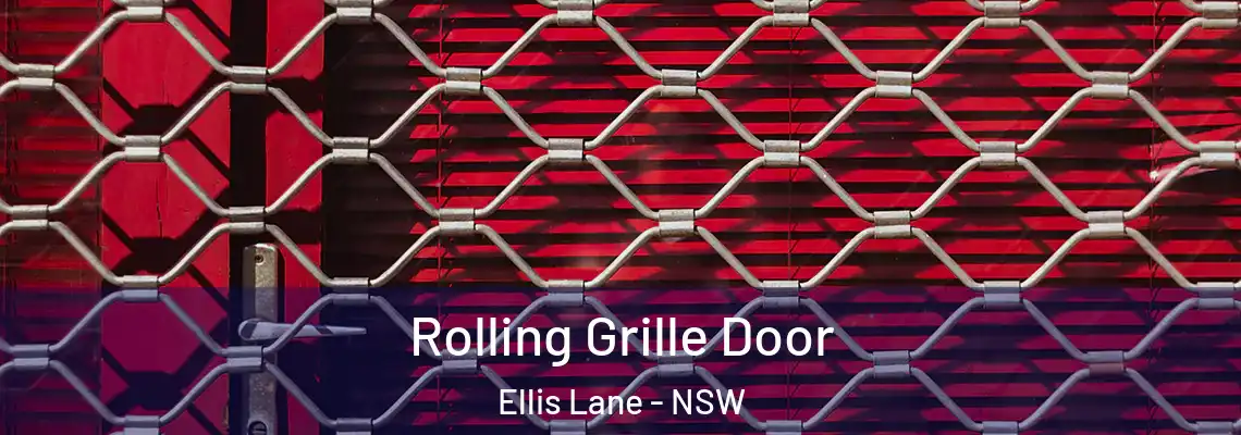 Rolling Grille Door Ellis Lane - NSW