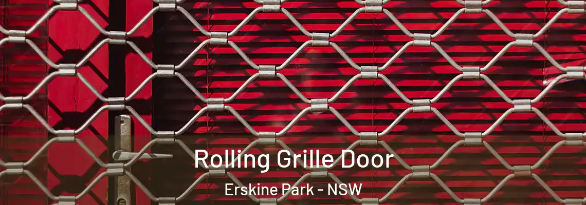 Rolling Grille Door Erskine Park - NSW